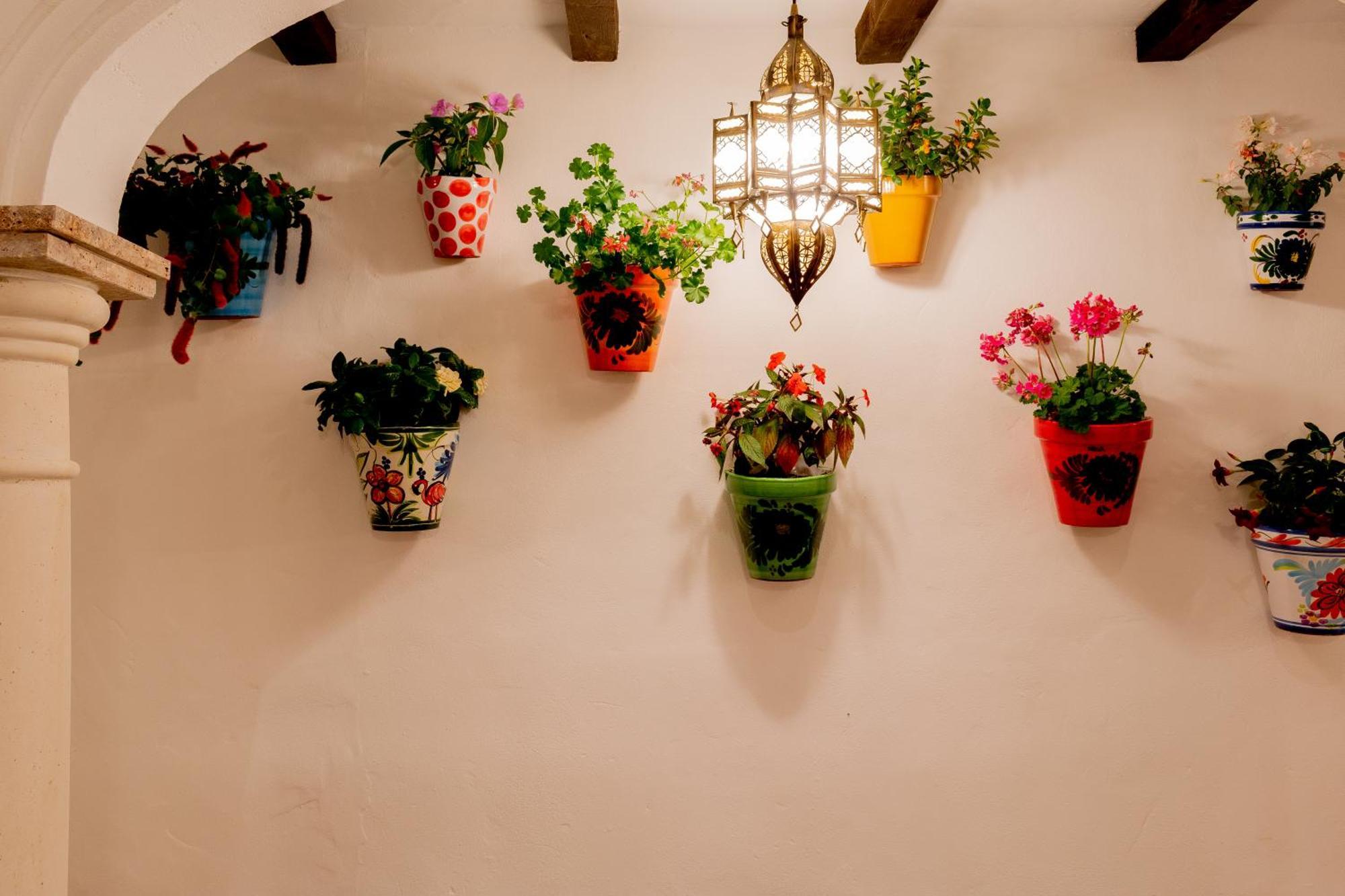 Casa Del Patio - Boutique Apartments (Adults Only) 에스테포나 외부 사진