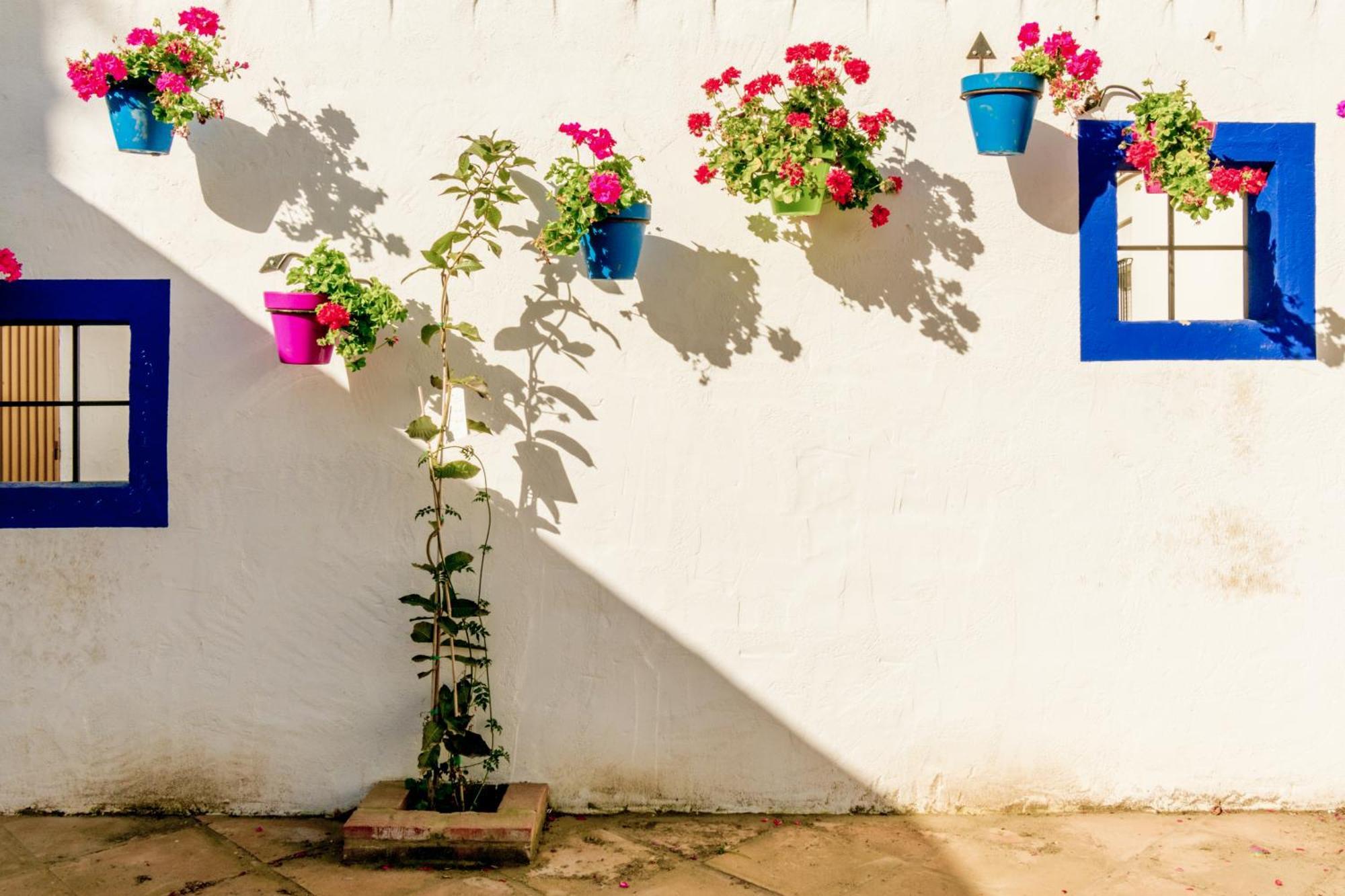 Casa Del Patio - Boutique Apartments (Adults Only) 에스테포나 외부 사진