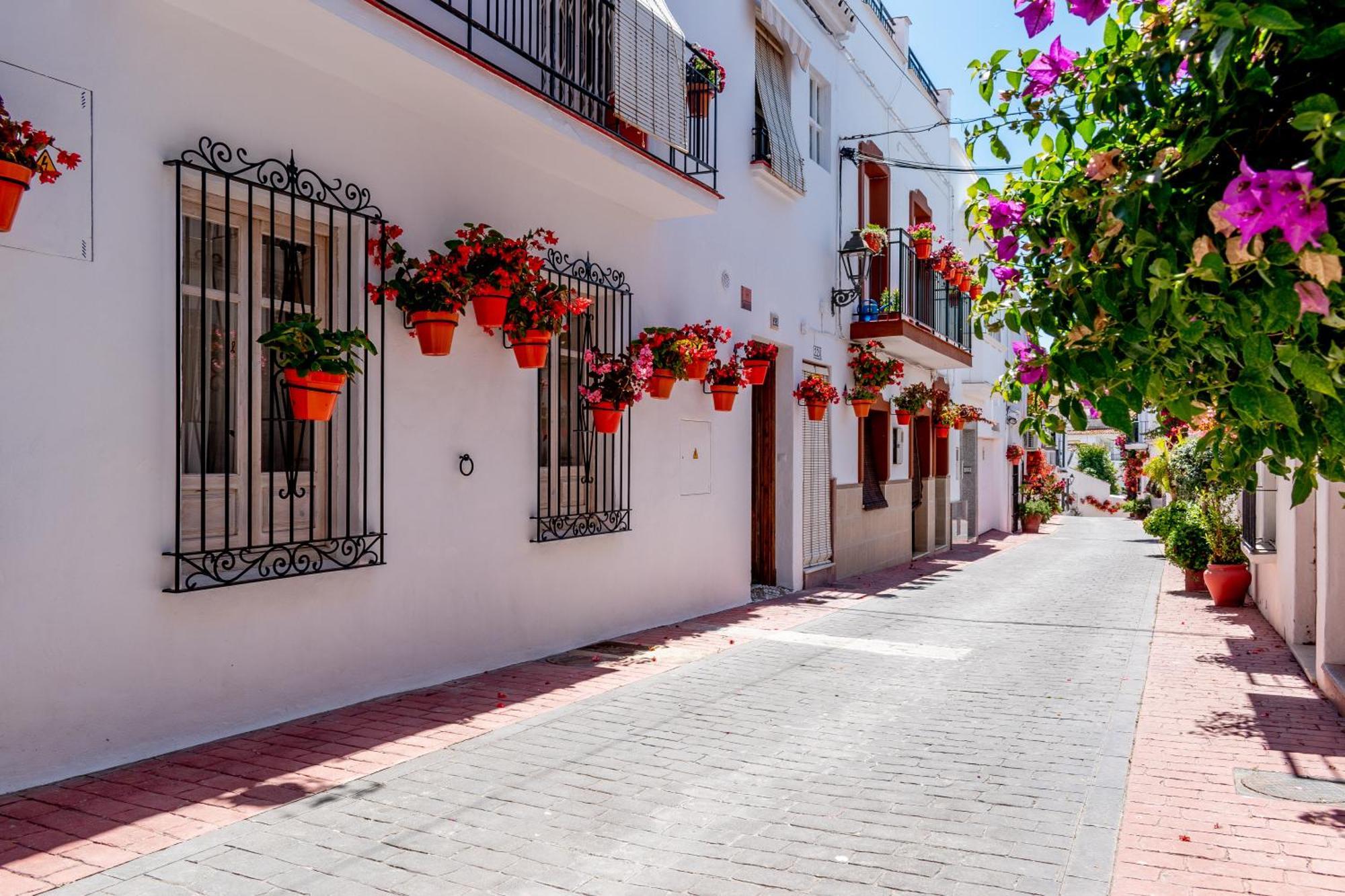 Casa Del Patio - Boutique Apartments (Adults Only) 에스테포나 외부 사진