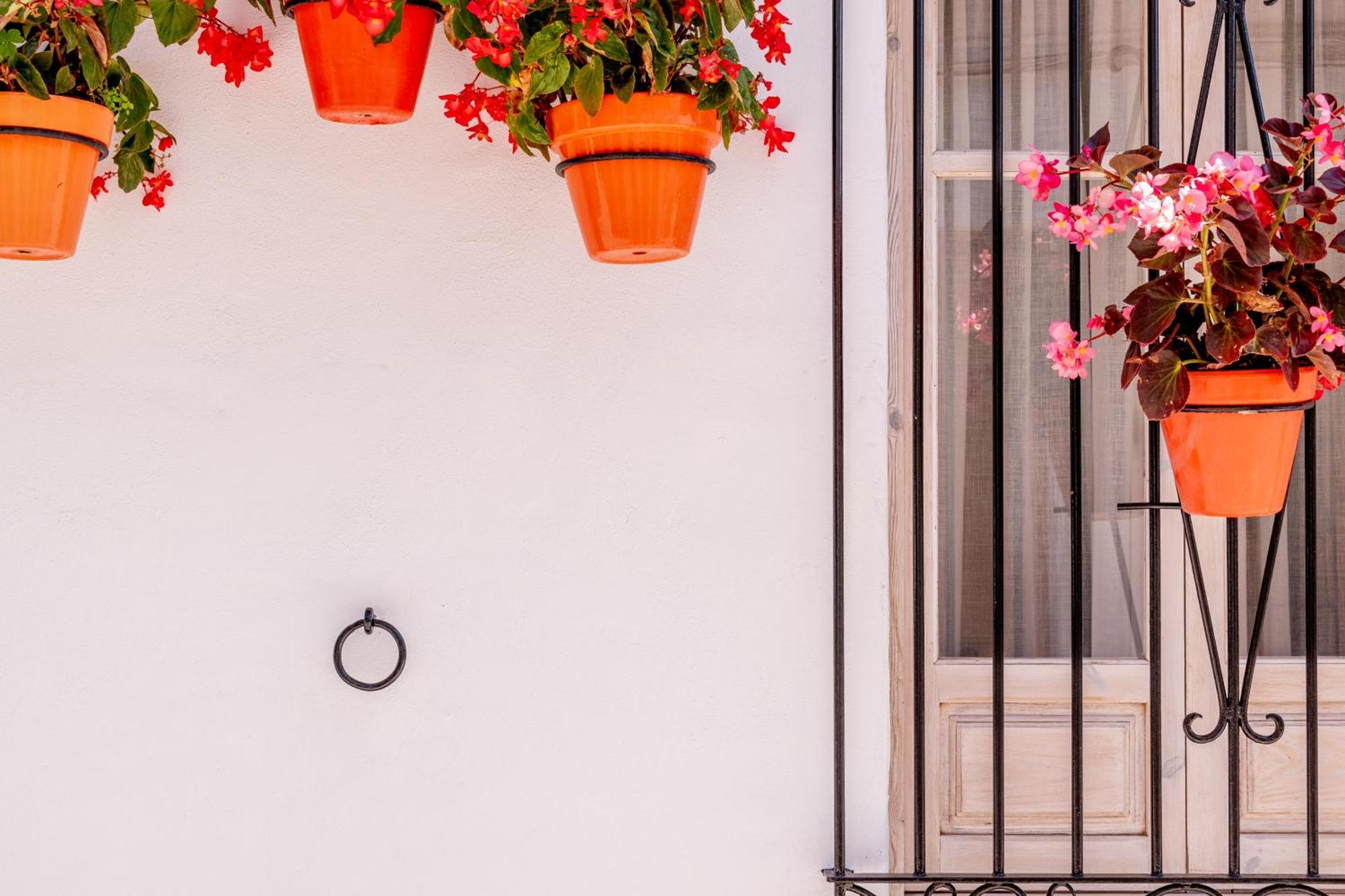 Casa Del Patio - Boutique Apartments (Adults Only) 에스테포나 외부 사진